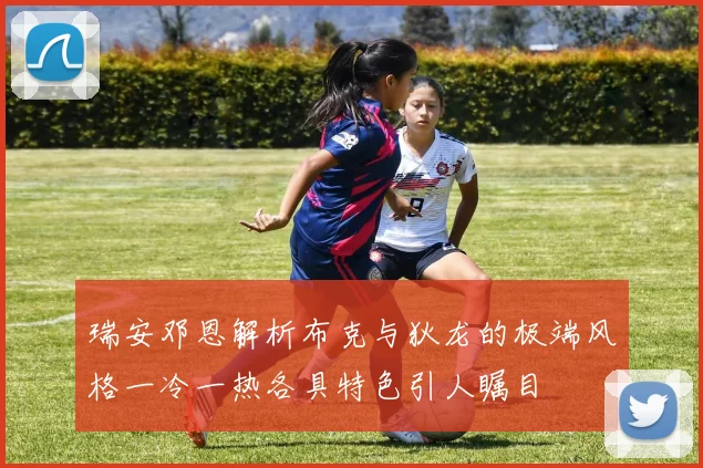瑞安邓恩解析布克与狄龙的极端风格一冷一热各具特色引人瞩目