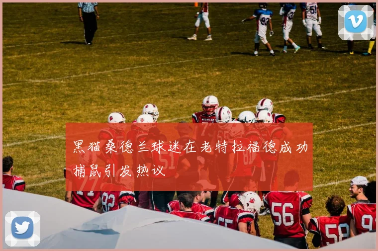 黑猫桑德兰球迷在老特拉福德成功捕鼠引发热议