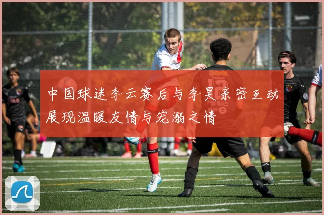 中国球迷李云赛后与李昊亲密互动展现温暖友情与宠溺之情